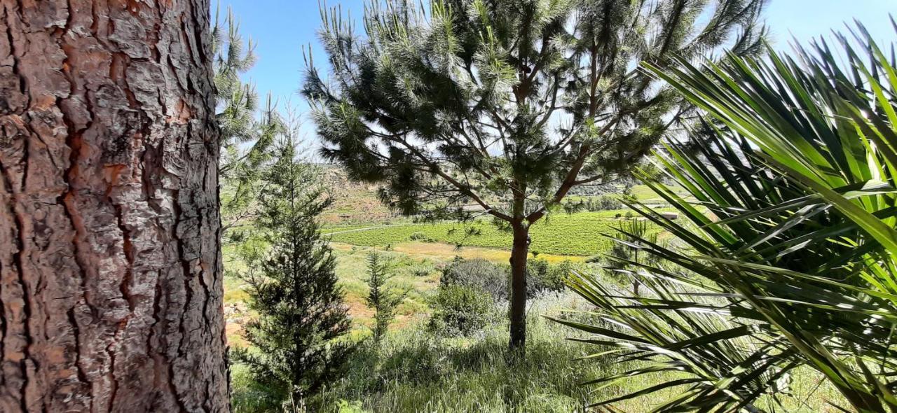 הוילה קאסטלמארה דל גולפו Casale Ginisara מראה חיצוני תמונה